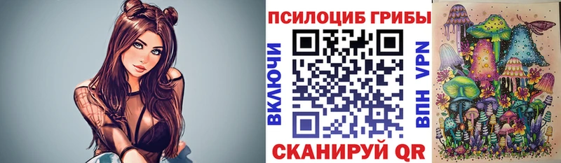 Купить  Окуловка  Псилоцибиновые грибы Magic Shrooms 
